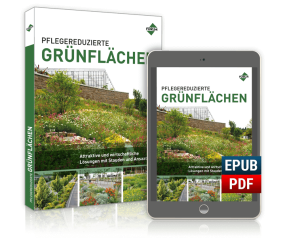 Pflegereduzierte Grünflächen